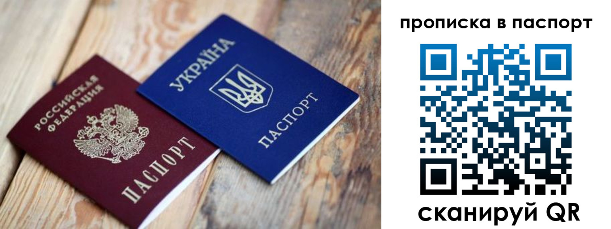 прописка гарантия в Вольске
